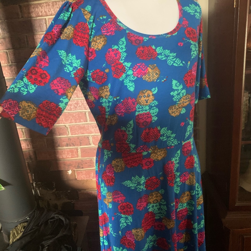 🎉 Lularoe Maxi dress